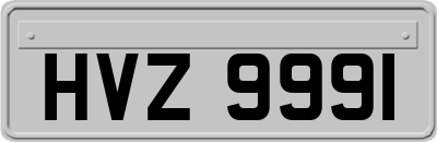 HVZ9991