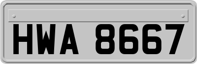 HWA8667