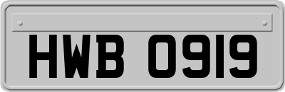 HWB0919