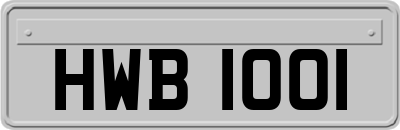 HWB1001