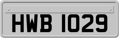 HWB1029