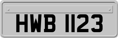 HWB1123