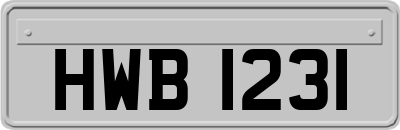 HWB1231