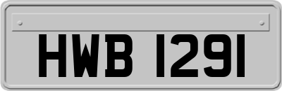 HWB1291