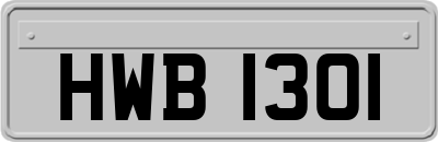 HWB1301