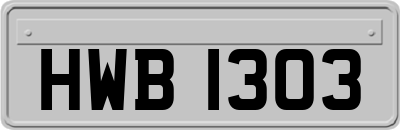 HWB1303
