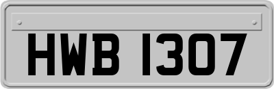 HWB1307