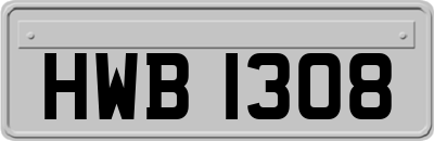 HWB1308