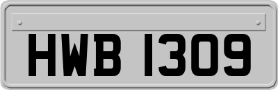 HWB1309