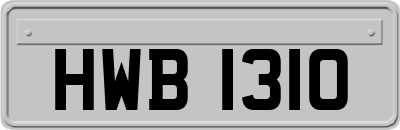 HWB1310