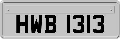 HWB1313