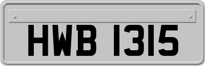 HWB1315