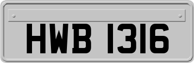 HWB1316