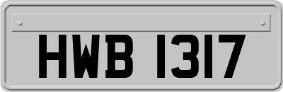 HWB1317