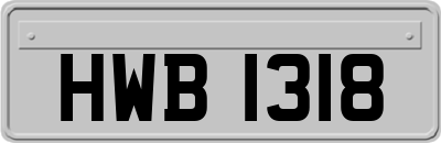 HWB1318