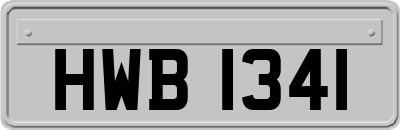 HWB1341