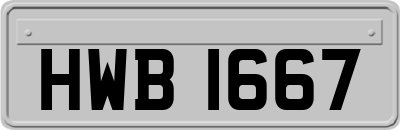 HWB1667