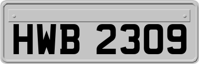 HWB2309