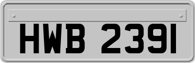 HWB2391