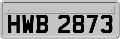 HWB2873
