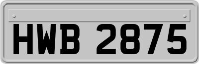 HWB2875