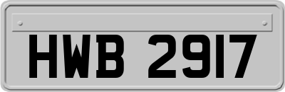 HWB2917