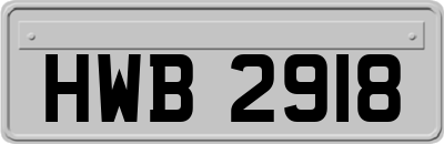 HWB2918