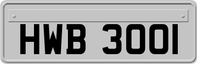 HWB3001
