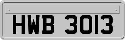 HWB3013