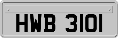 HWB3101