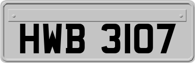 HWB3107