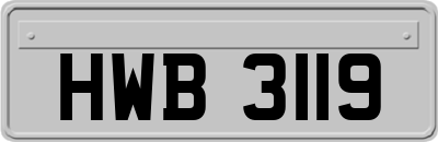 HWB3119
