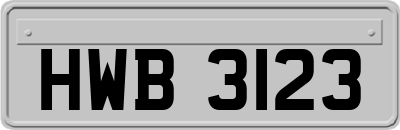 HWB3123