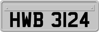 HWB3124