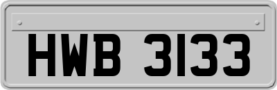 HWB3133