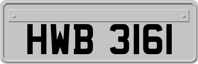 HWB3161