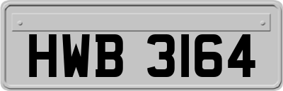 HWB3164