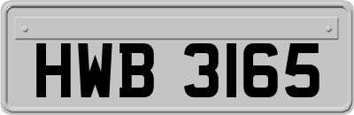HWB3165