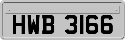 HWB3166