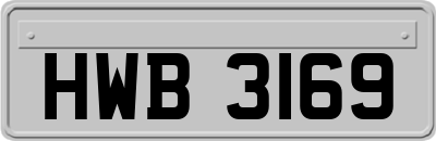 HWB3169