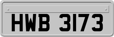 HWB3173