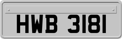 HWB3181