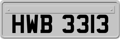 HWB3313