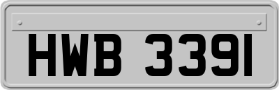 HWB3391