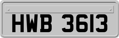 HWB3613