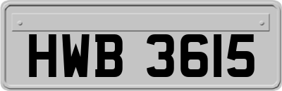 HWB3615