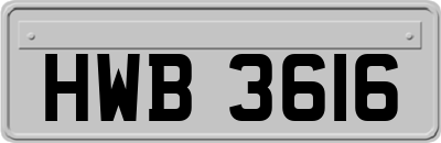 HWB3616