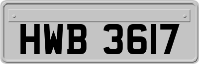 HWB3617