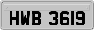 HWB3619