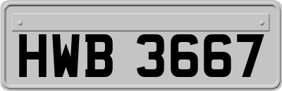 HWB3667